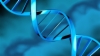 祖传DNA-生物小组